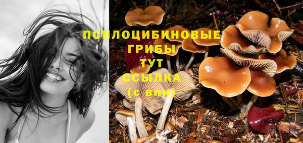 гашиш Приозерск