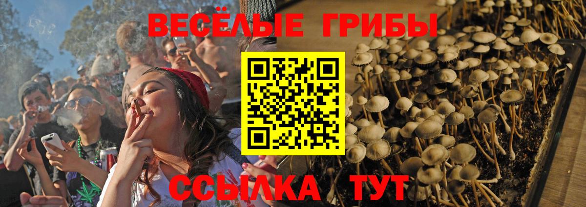 Галлюциногенные грибы GOLDEN TEACHER  Вязьма 