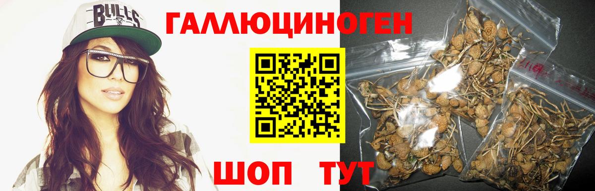 Псилоцибиновые грибы мицелий Вязьма